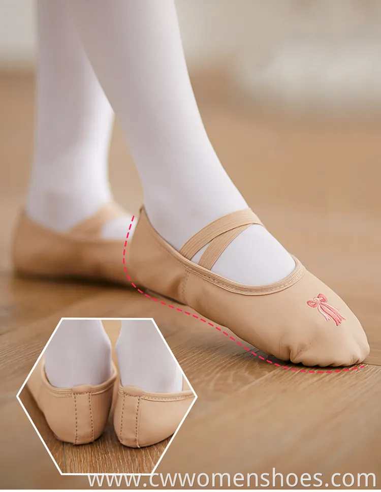 Stylish E5013 Canvas Split Sole Ballet Dance Shoes for Women